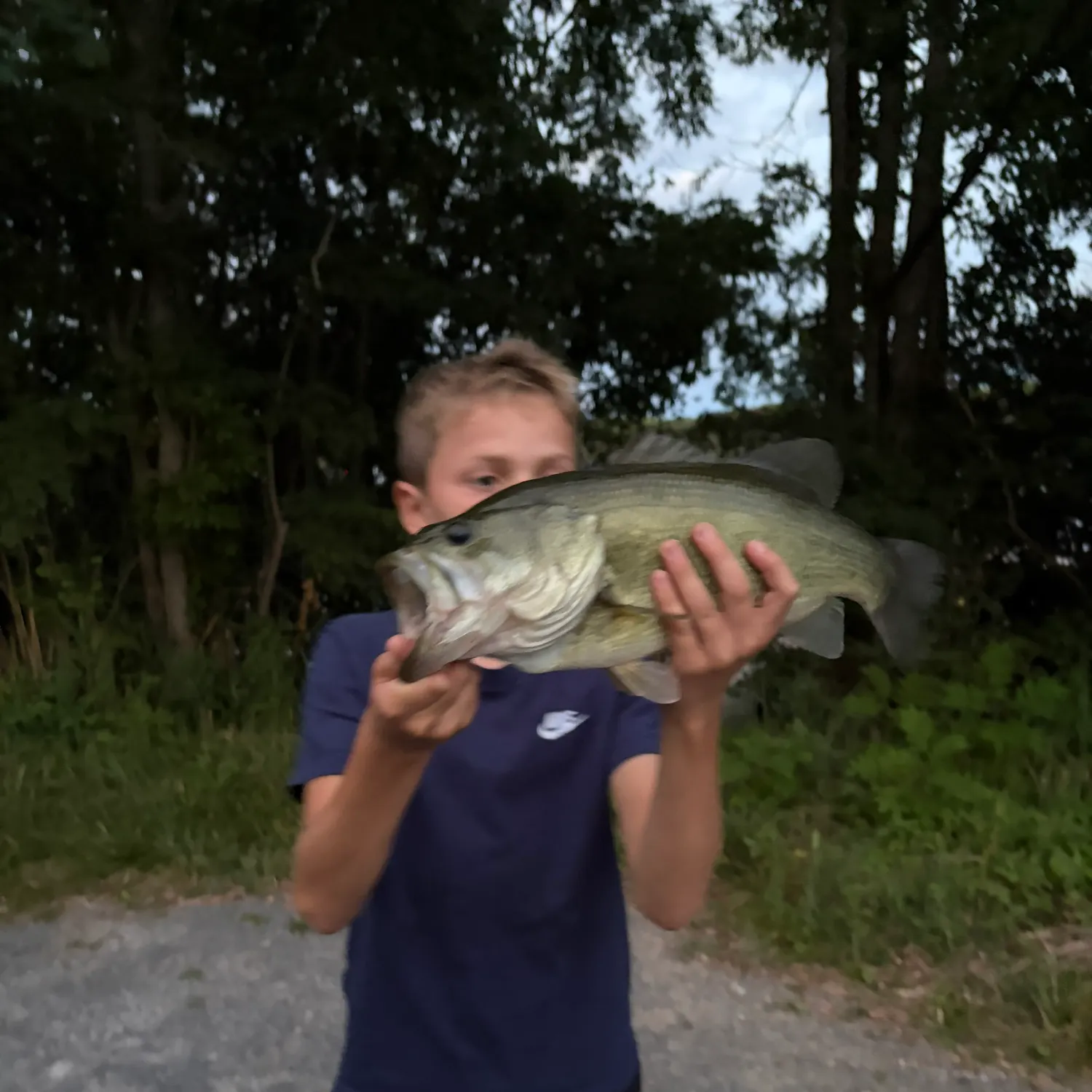 Fish caught on Fishbrain