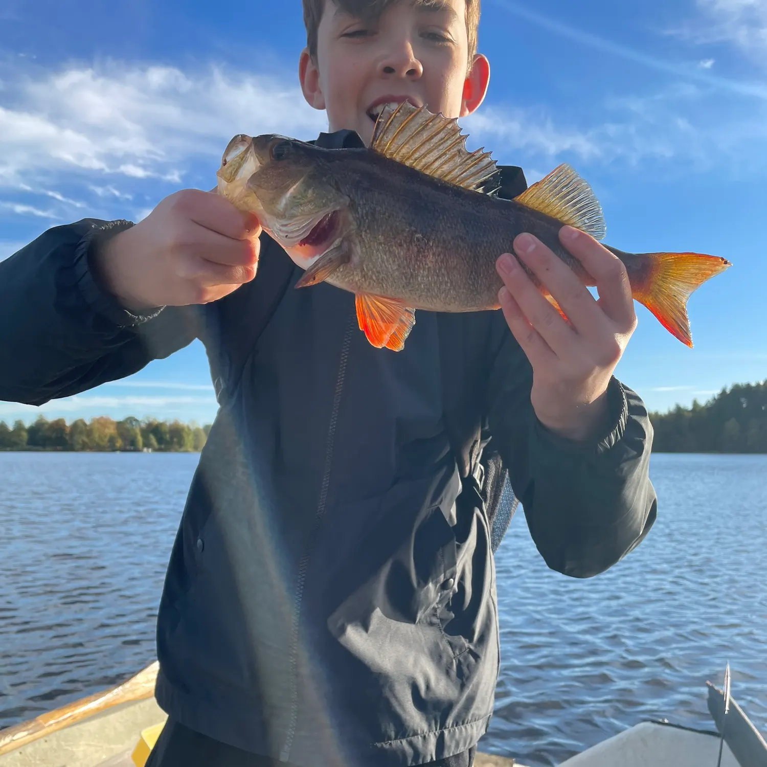 European perch caught on Fishbrain