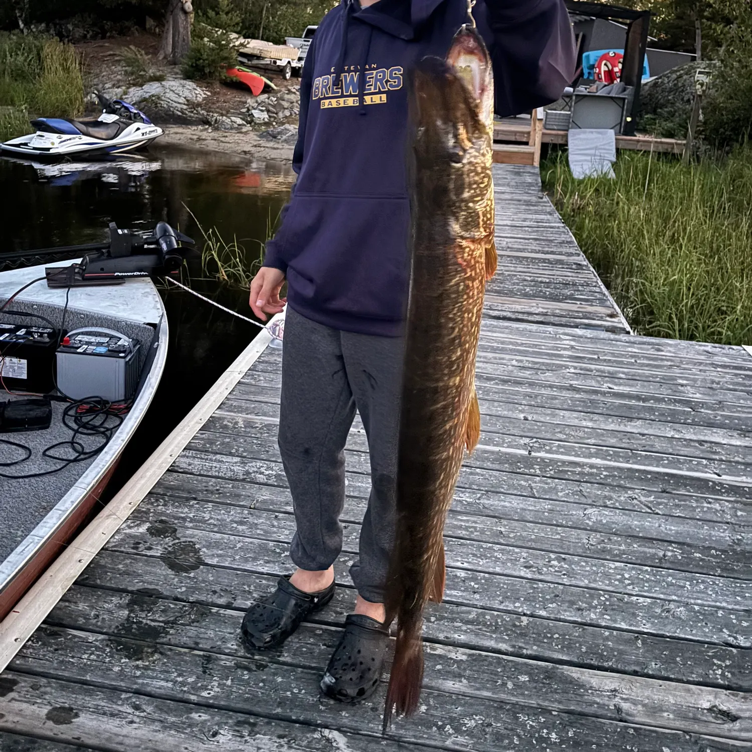 Northern pike caught on Fishbrain