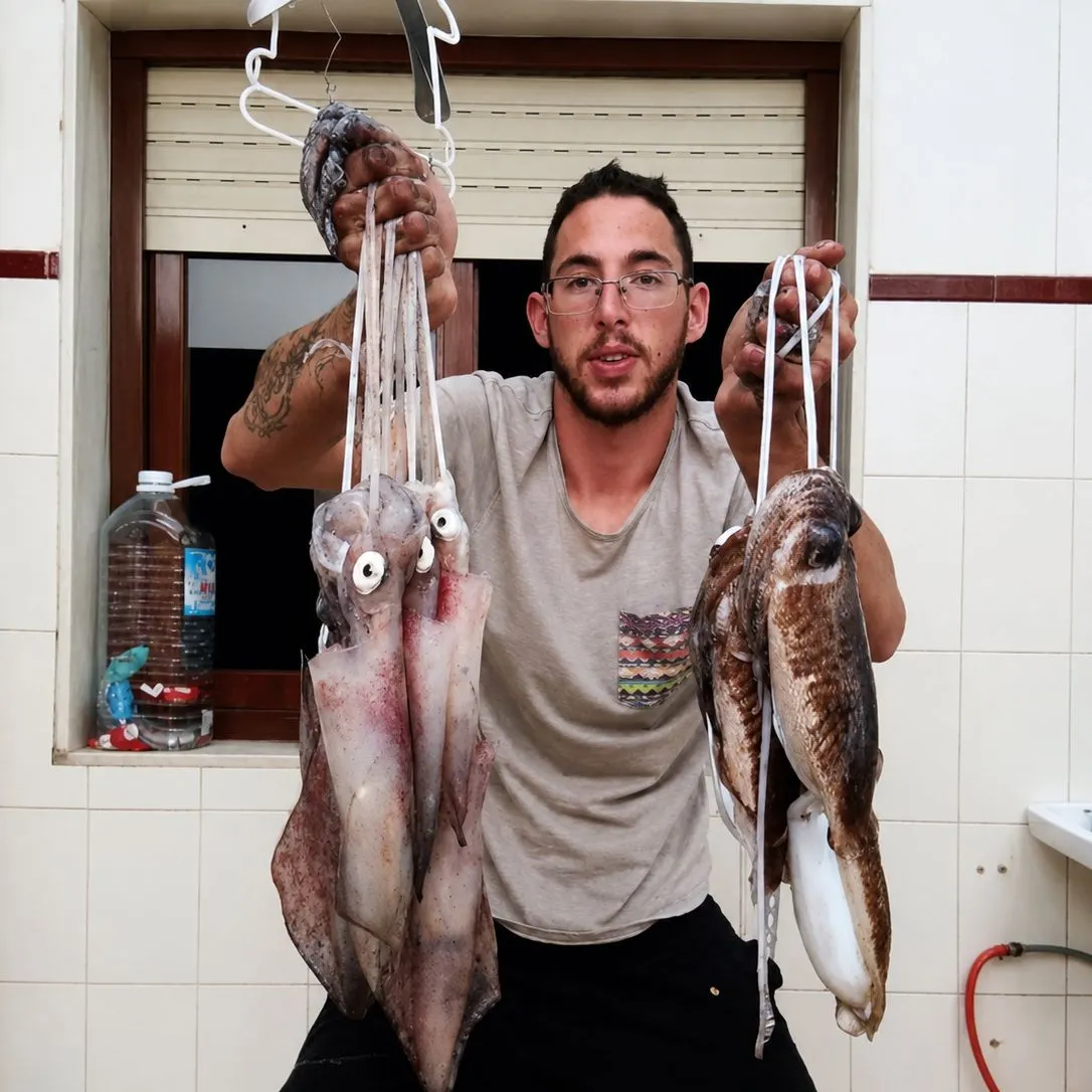 The most recent Bigfin reef squid catches on Fishbrain