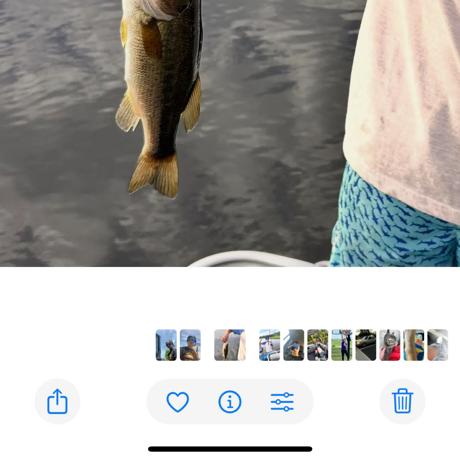 recently logged catches