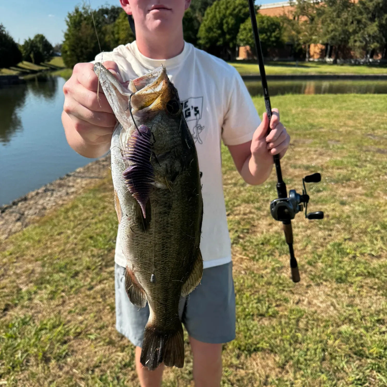 Largemouth bass caught on Fishbrain