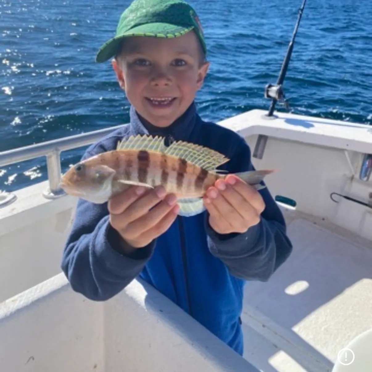 Common logperch caught on Fishbrain