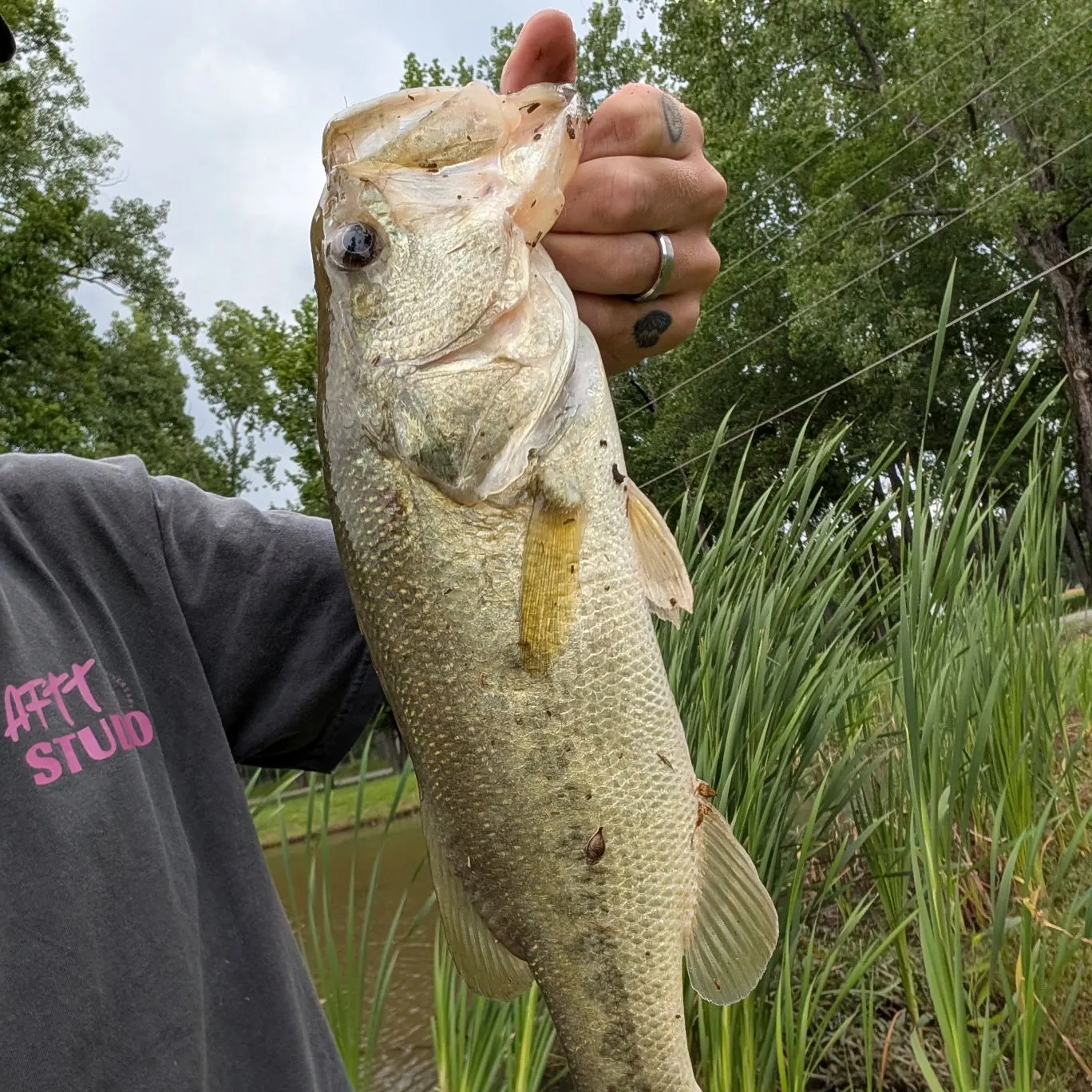 angler catch