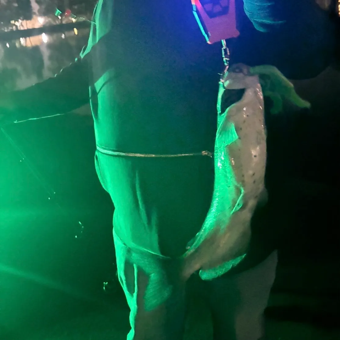 Channel catfish caught on Fishbrain