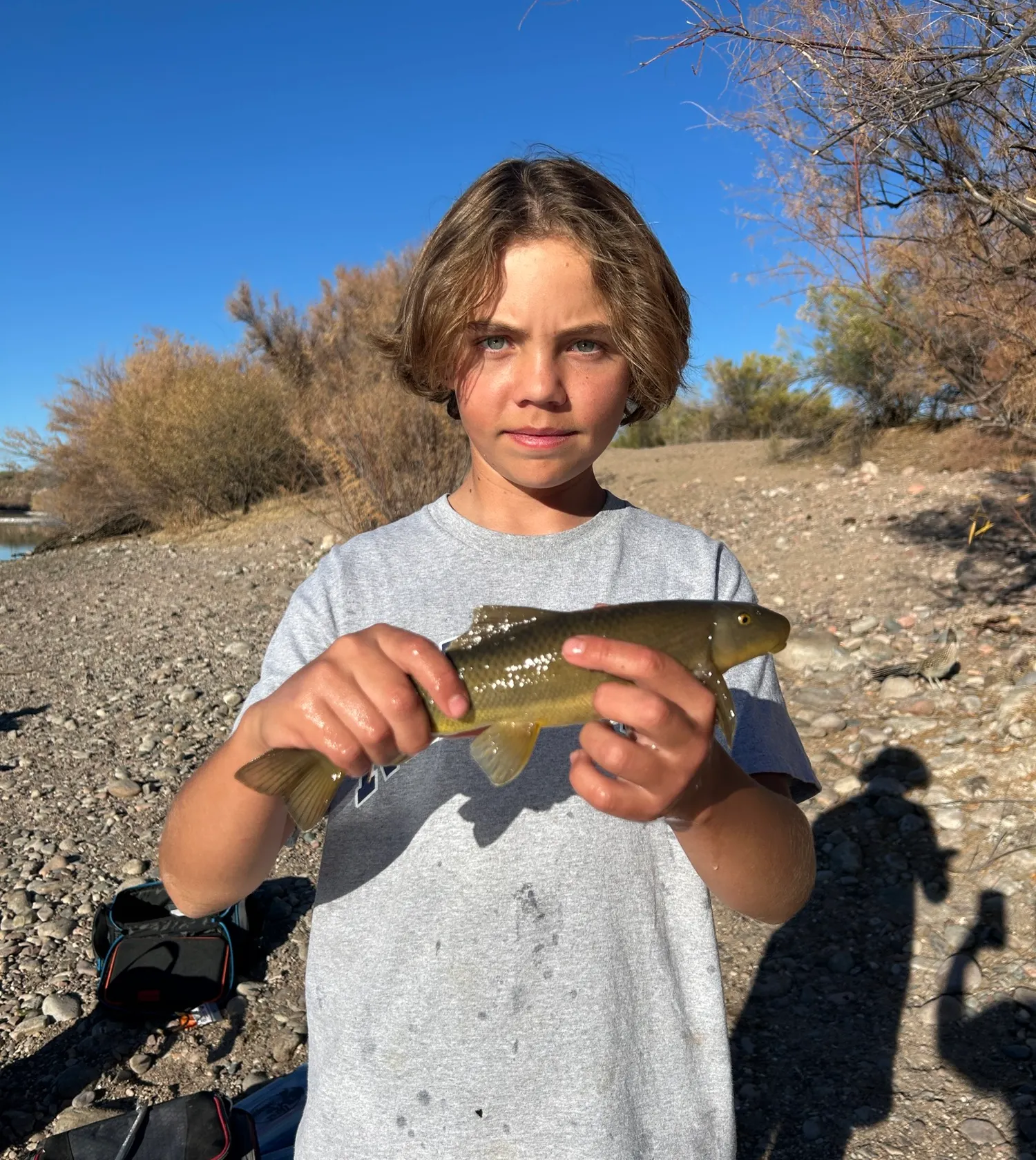 The most popular recent Desert sucker catch on Fishbrain