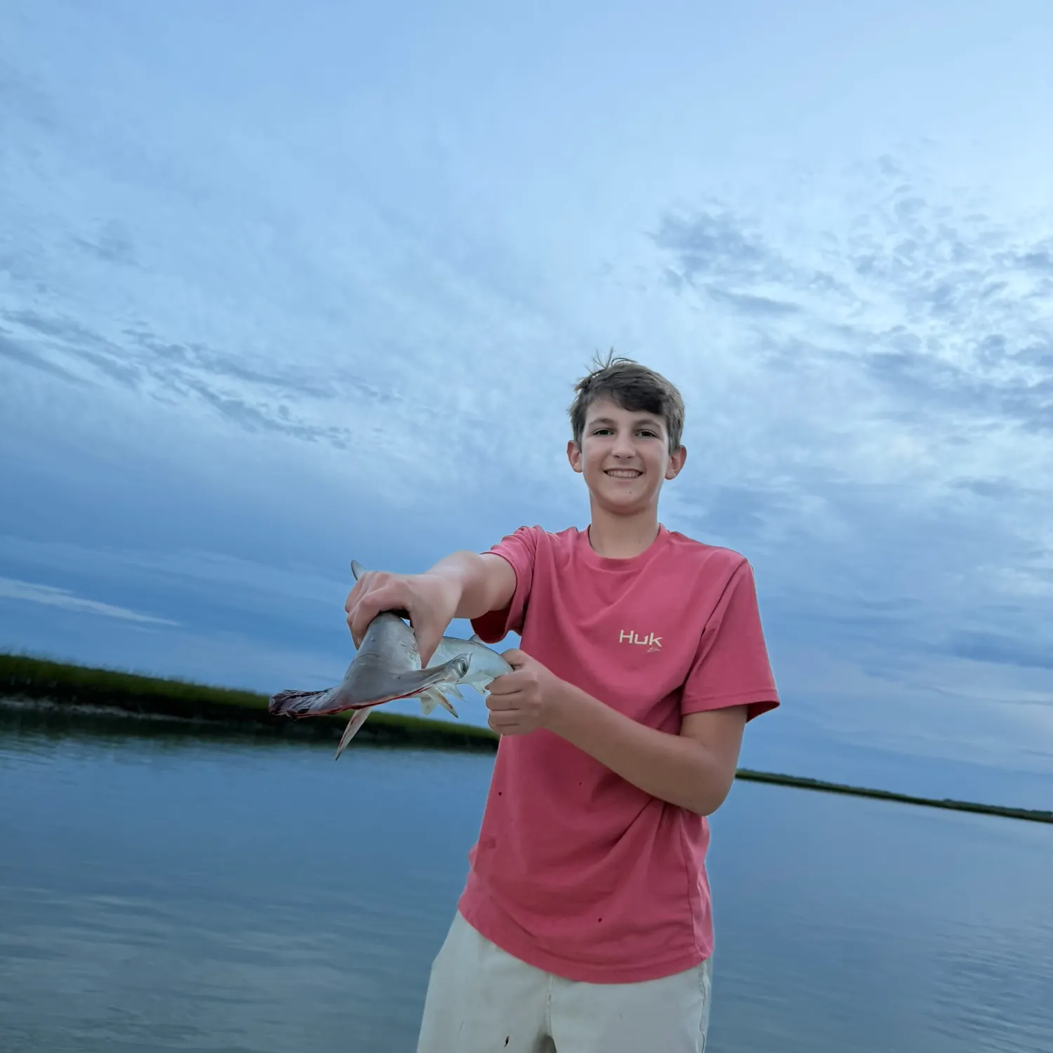 The most recent Scalloped hammerhead shark catches on Fishbrain