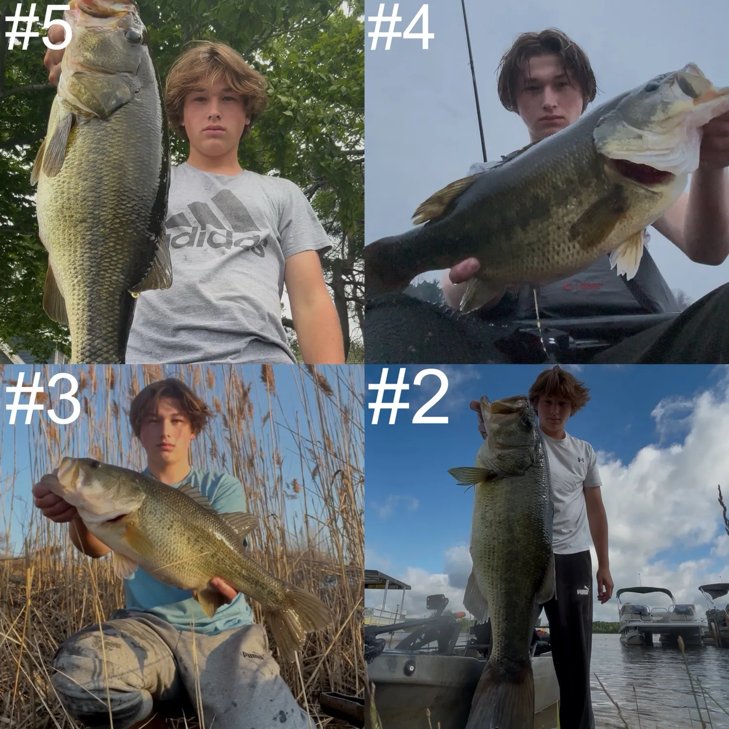 recently logged catches