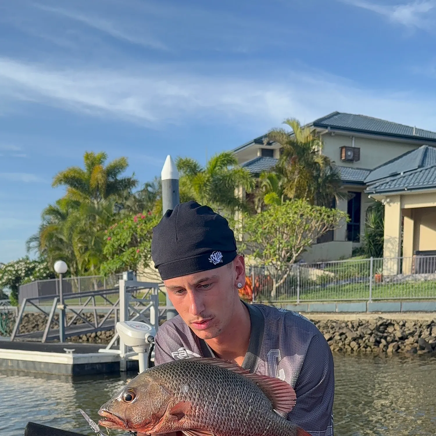 The most recent Mangrove red snapper catches on Fishbrain