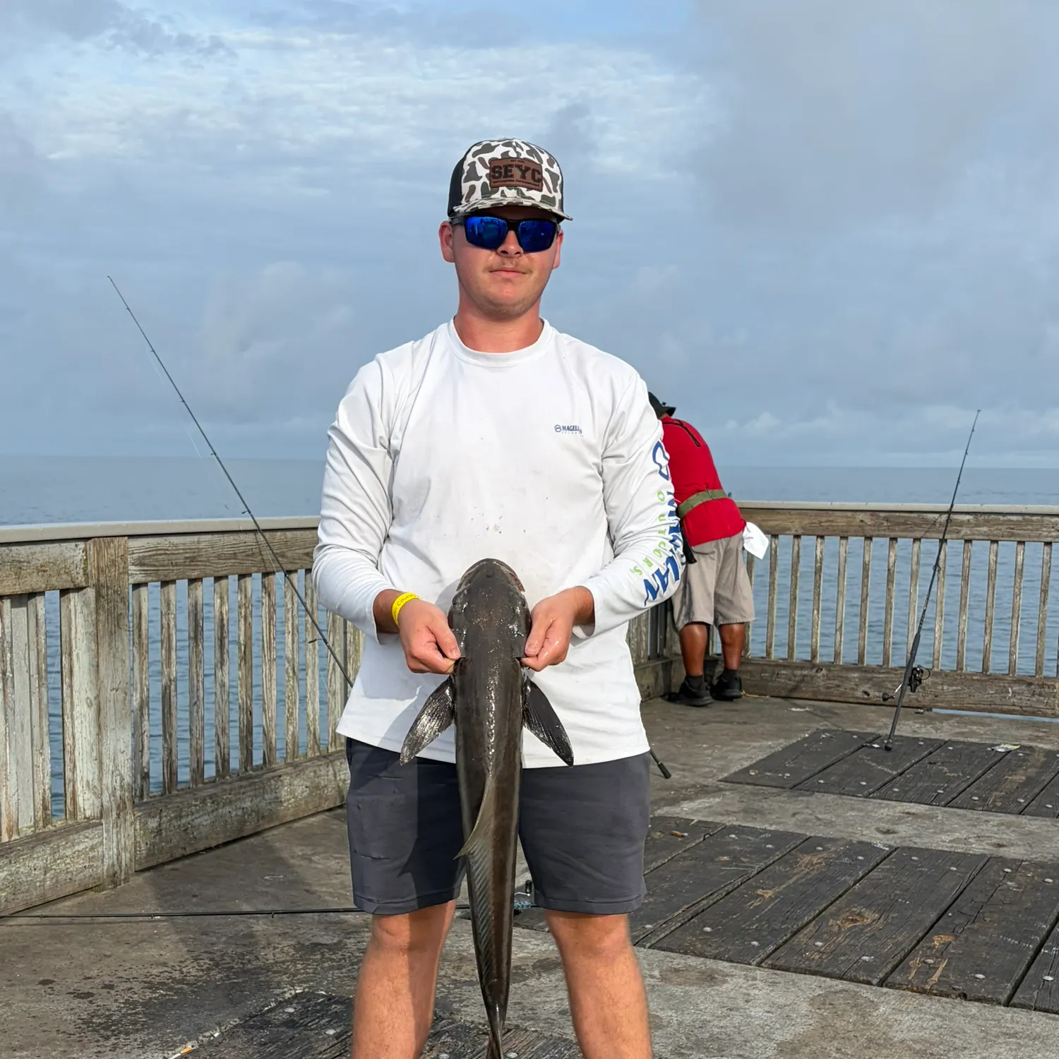 The most recent Cobia catches on Fishbrain