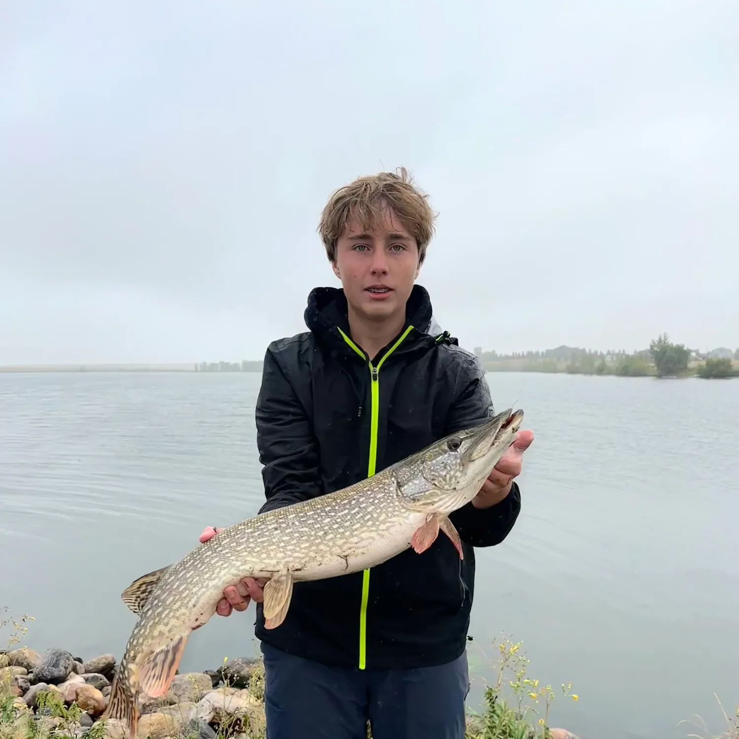 Northern pike caught on Fishbrain