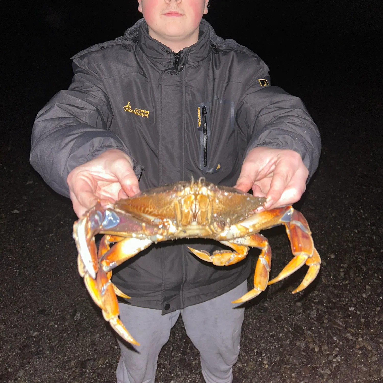 The most popular recent Jonah crab catch on Fishbrain