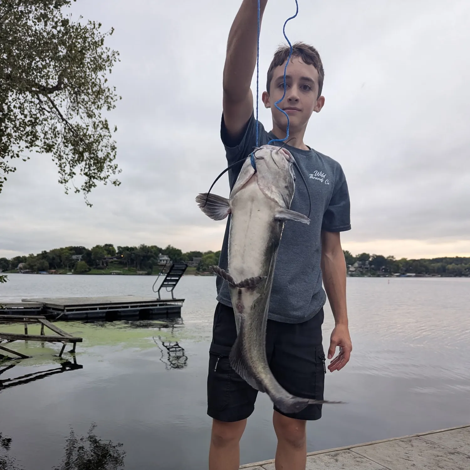 Blue catfish caught on Fishbrain