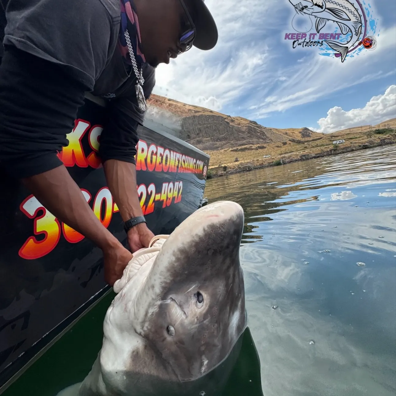 White sturgeon caught on Fishbrain