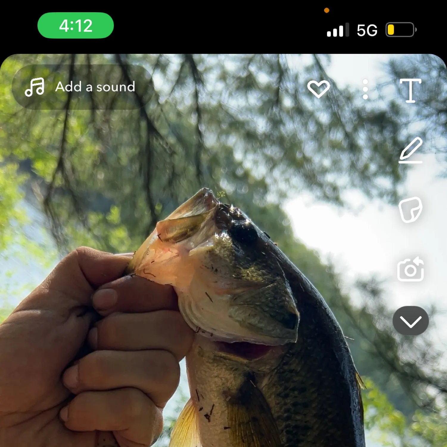 recently logged catches