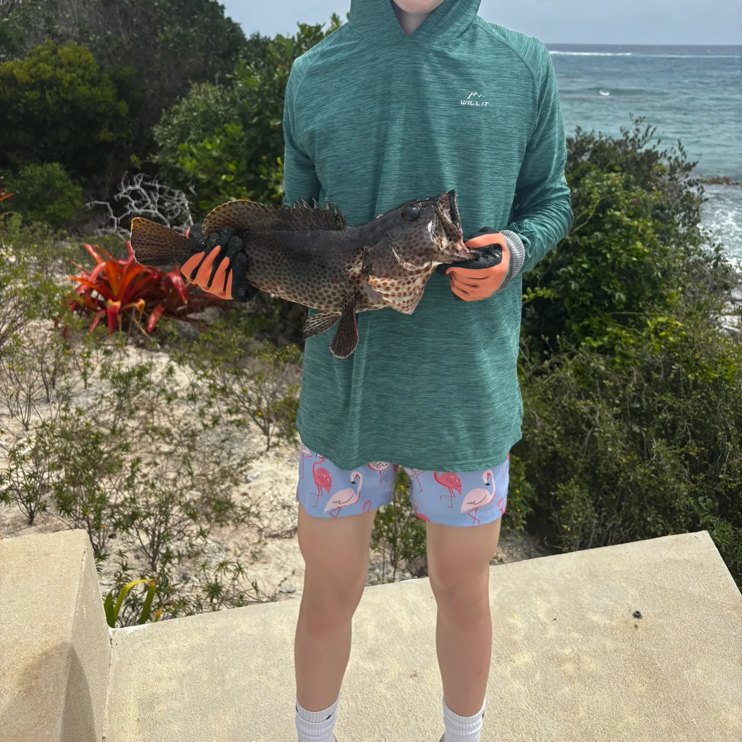 The most recent Black grouper catches on Fishbrain