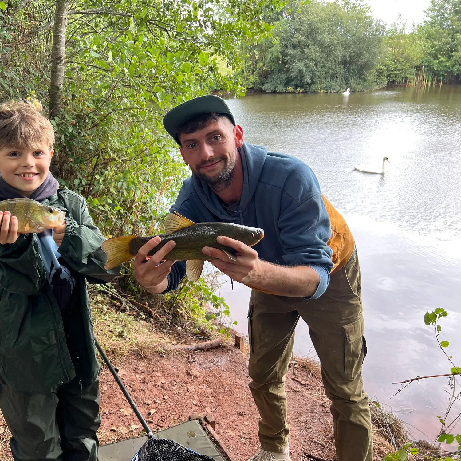 European perch caught on Fishbrain