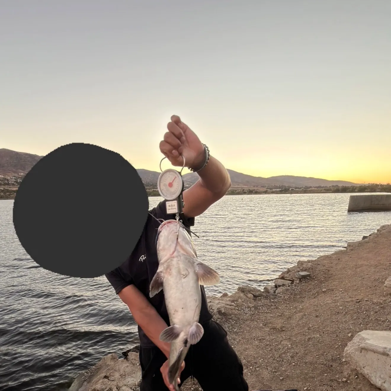 Channel catfish caught on Fishbrain