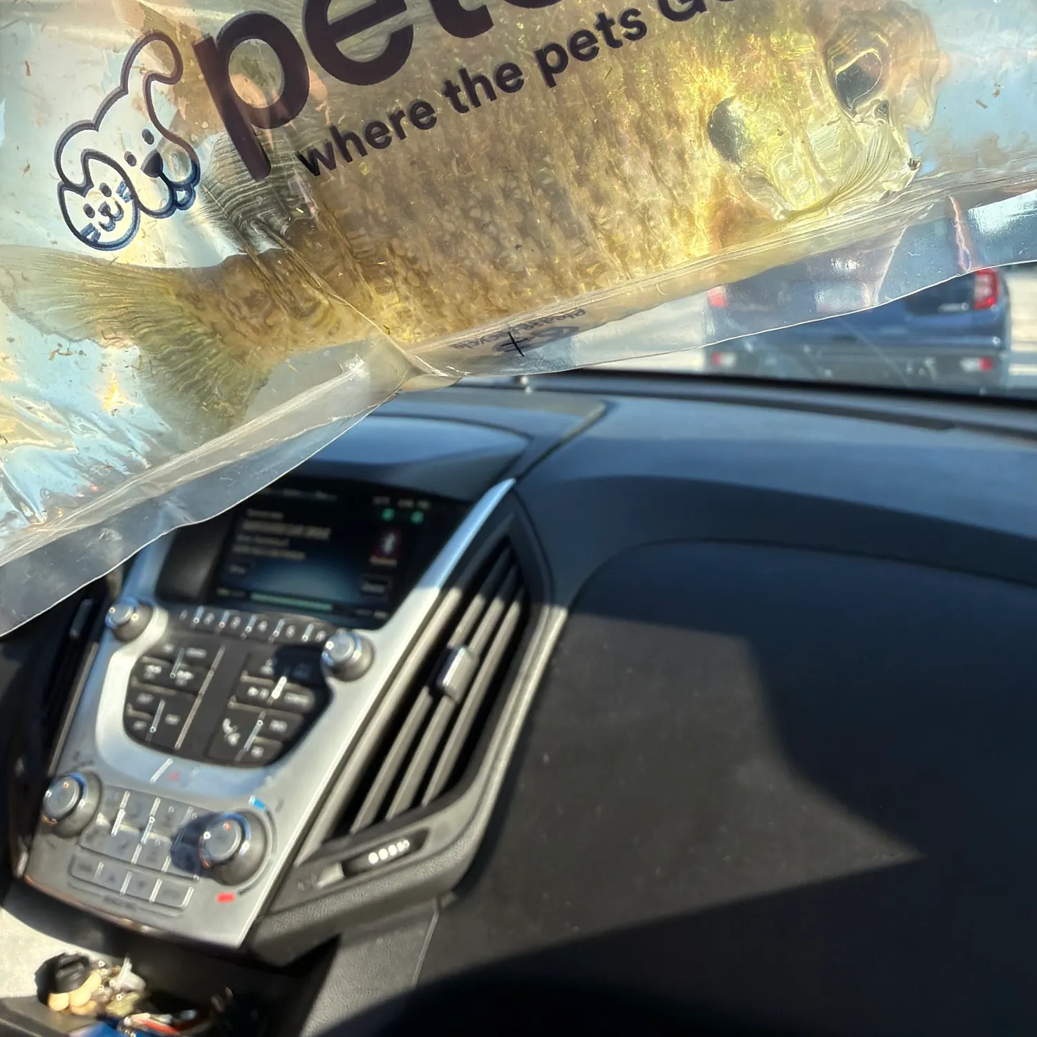 catch