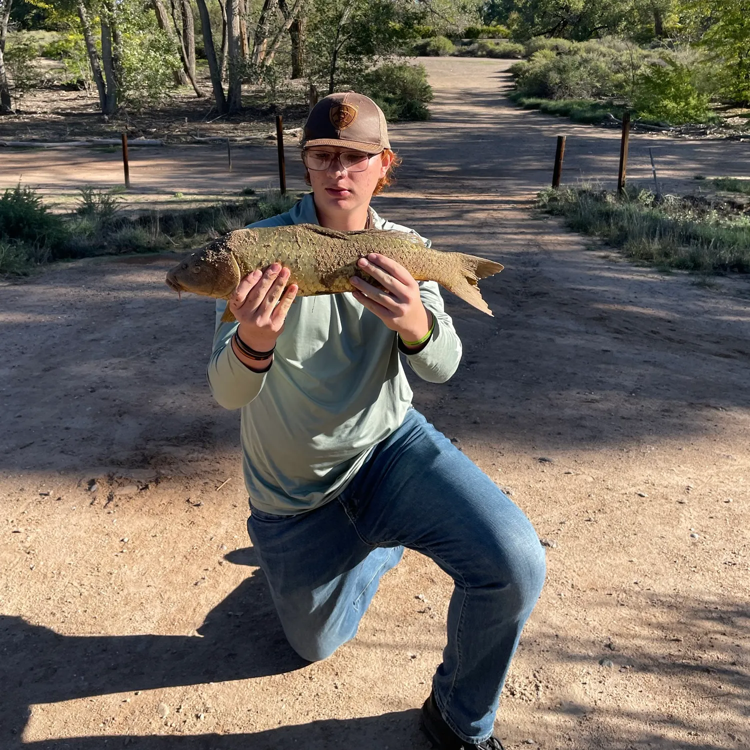 Common carp caught on Fishbrain