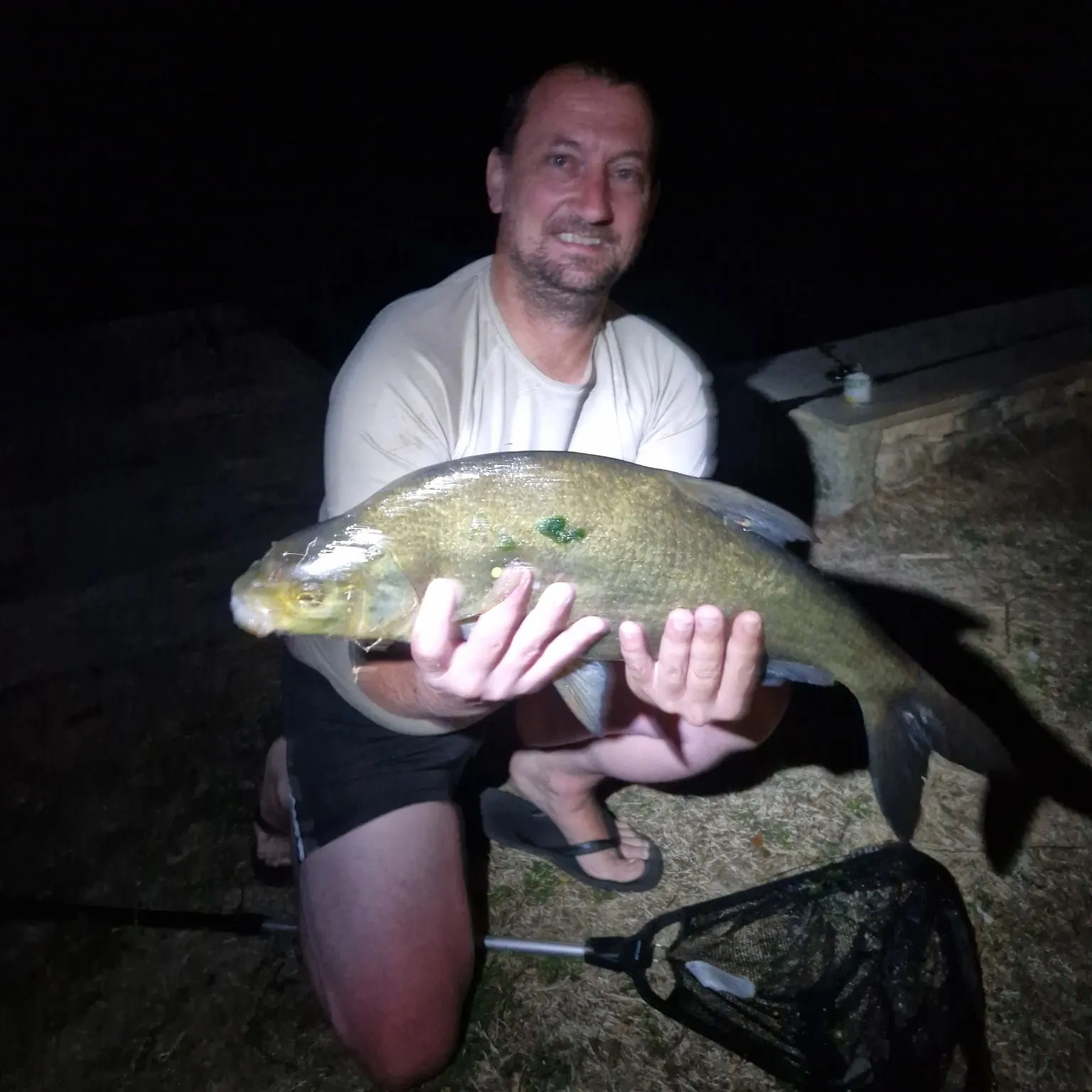 Common bream caught on Fishbrain