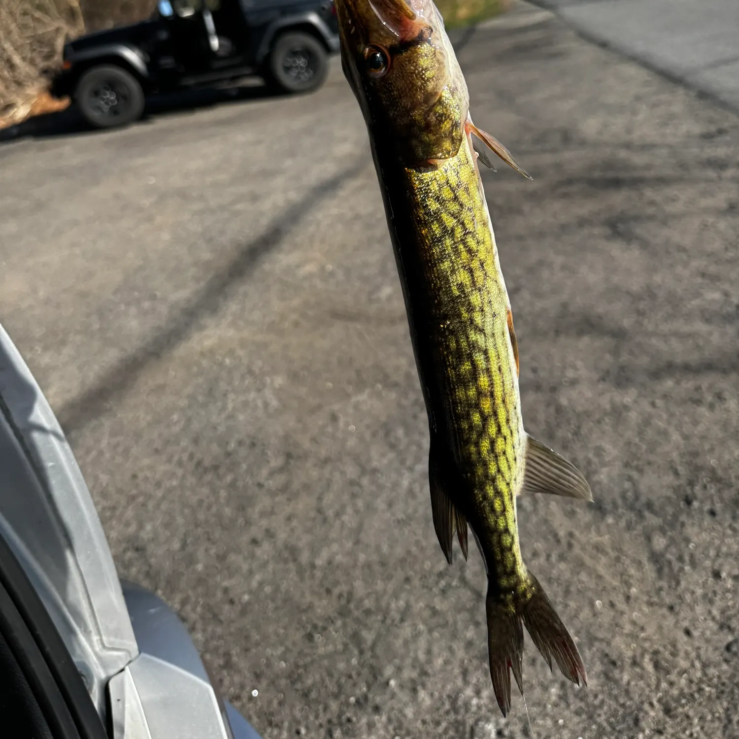 catch