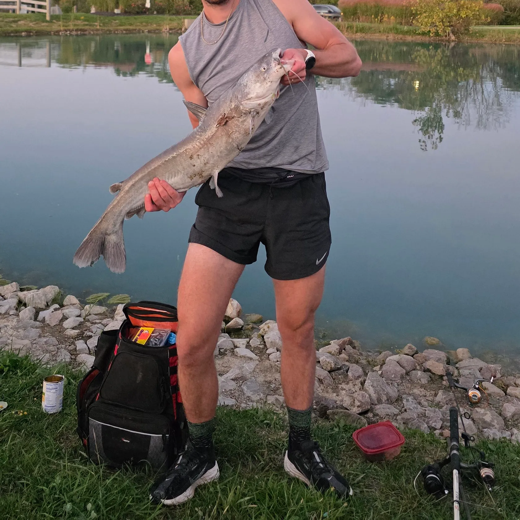 Blue catfish caught on Fishbrain