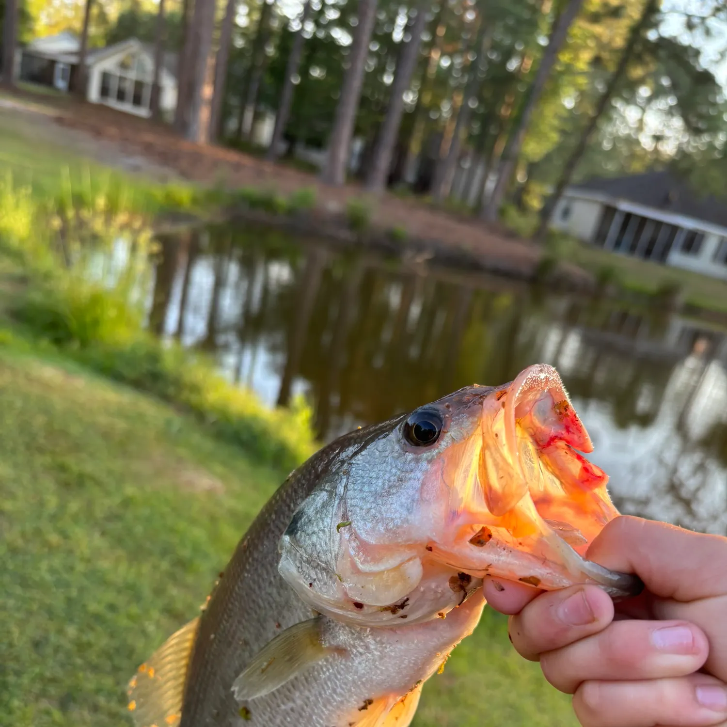 catch