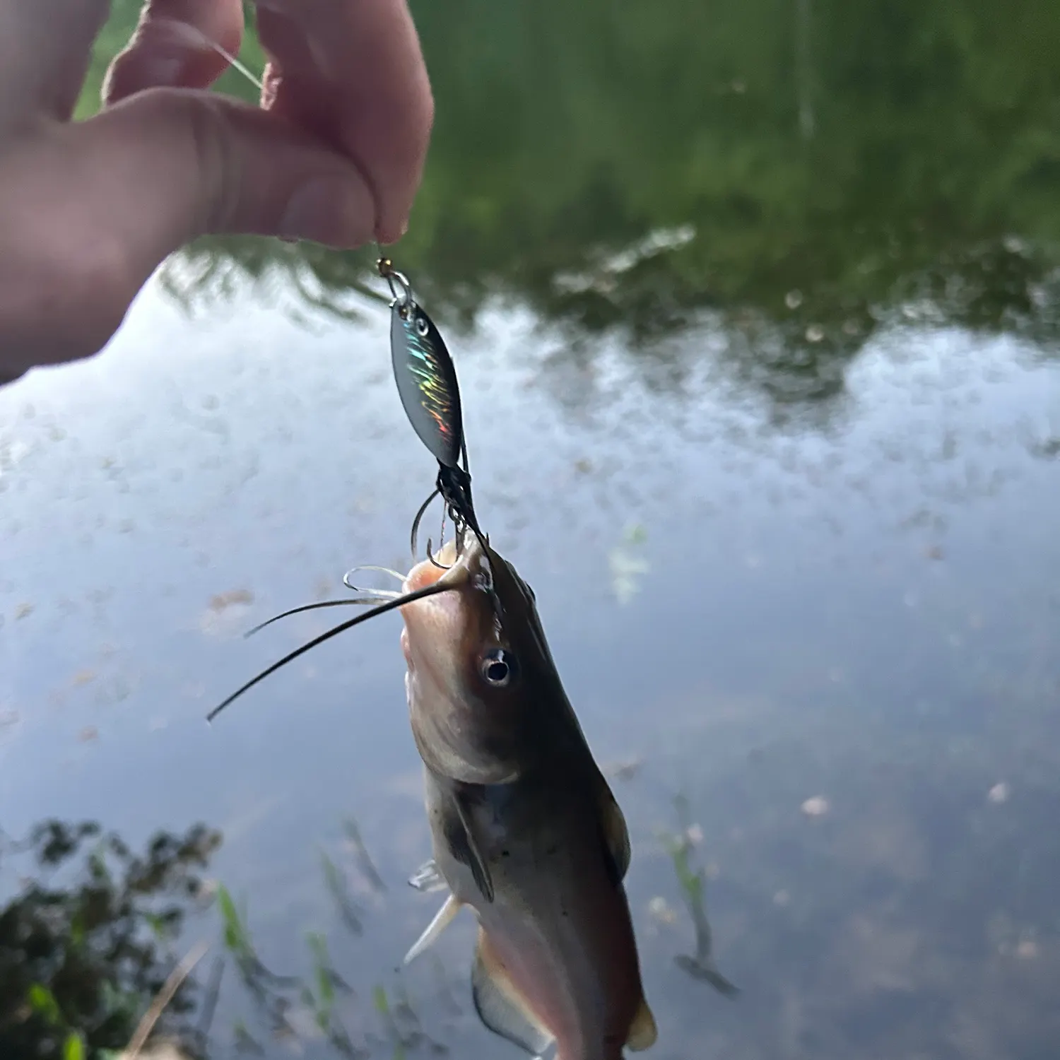 catch