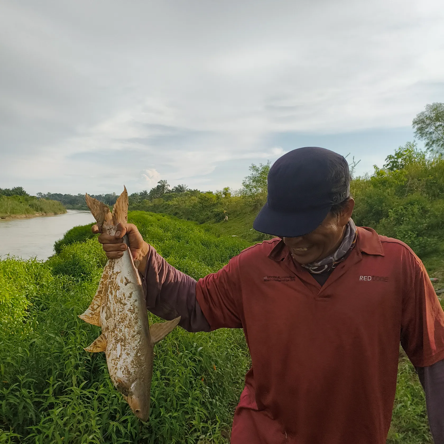 The most recent Yellowtail catfish catches on Fishbrain