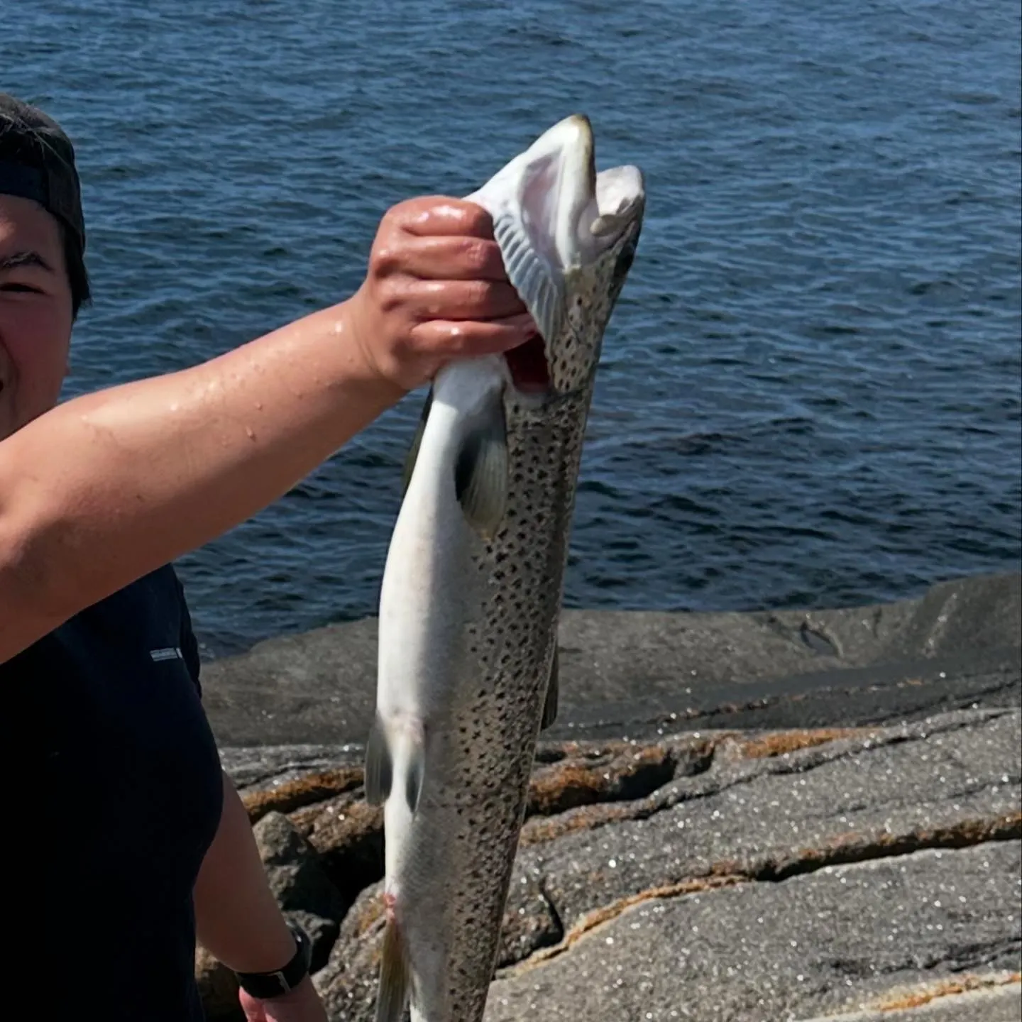 The most recent Sea trout catches on Fishbrain