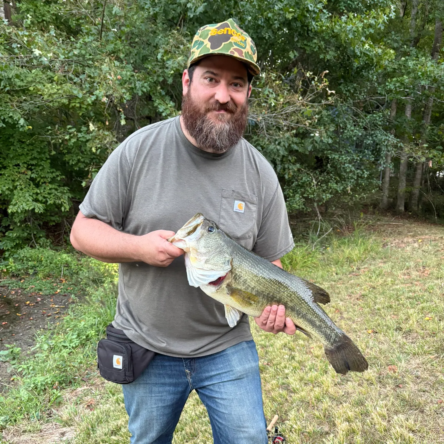 Largemouth bass caught on Fishbrain