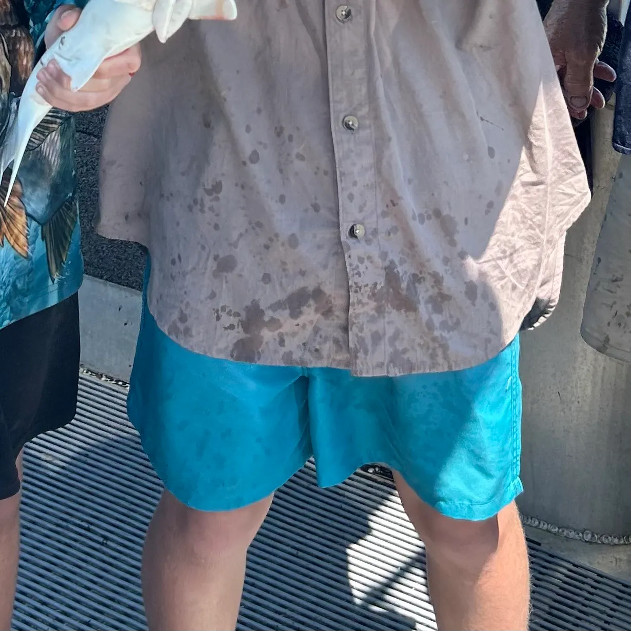 The most recent Lemon shark catches on Fishbrain