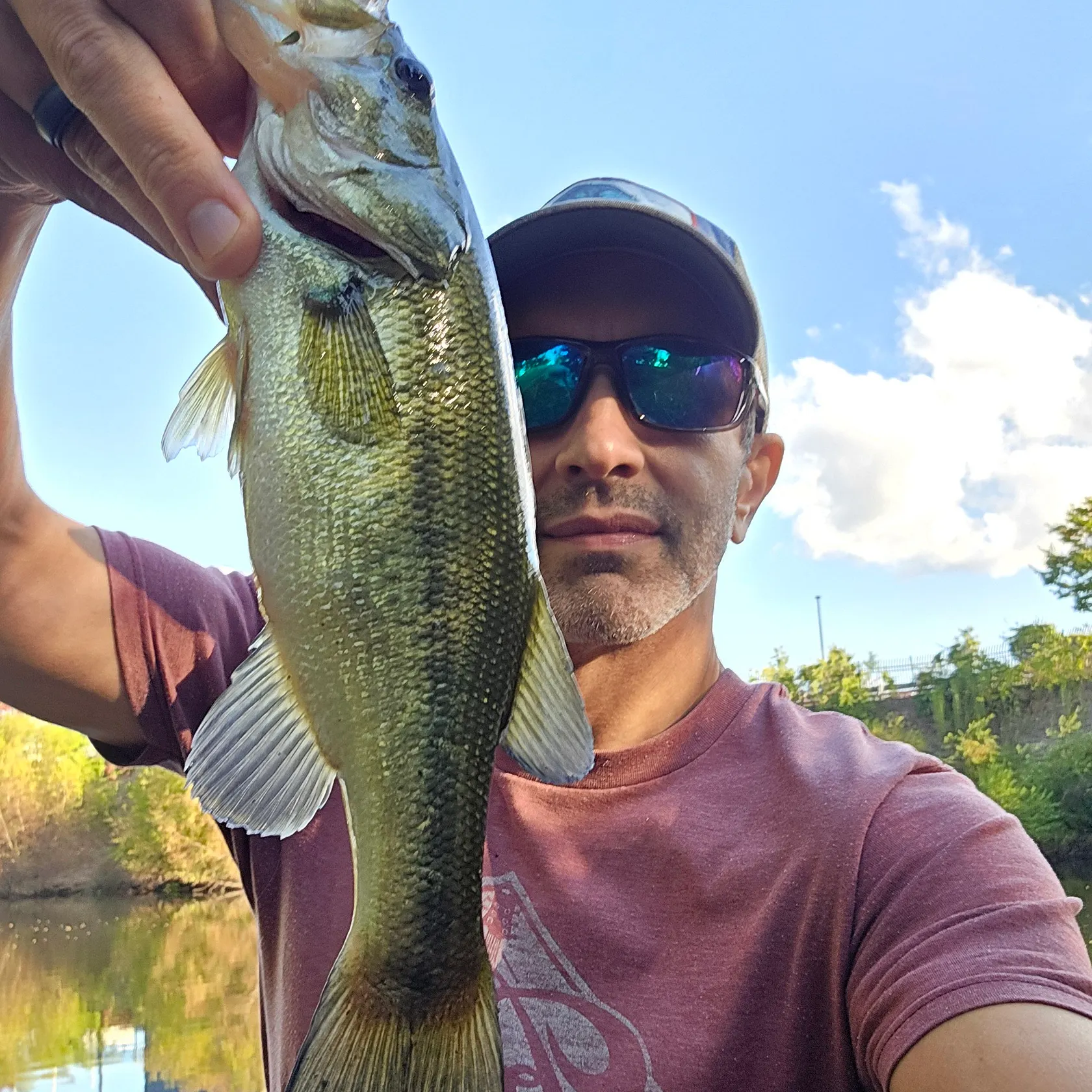 Largemouth bass caught on Fishbrain