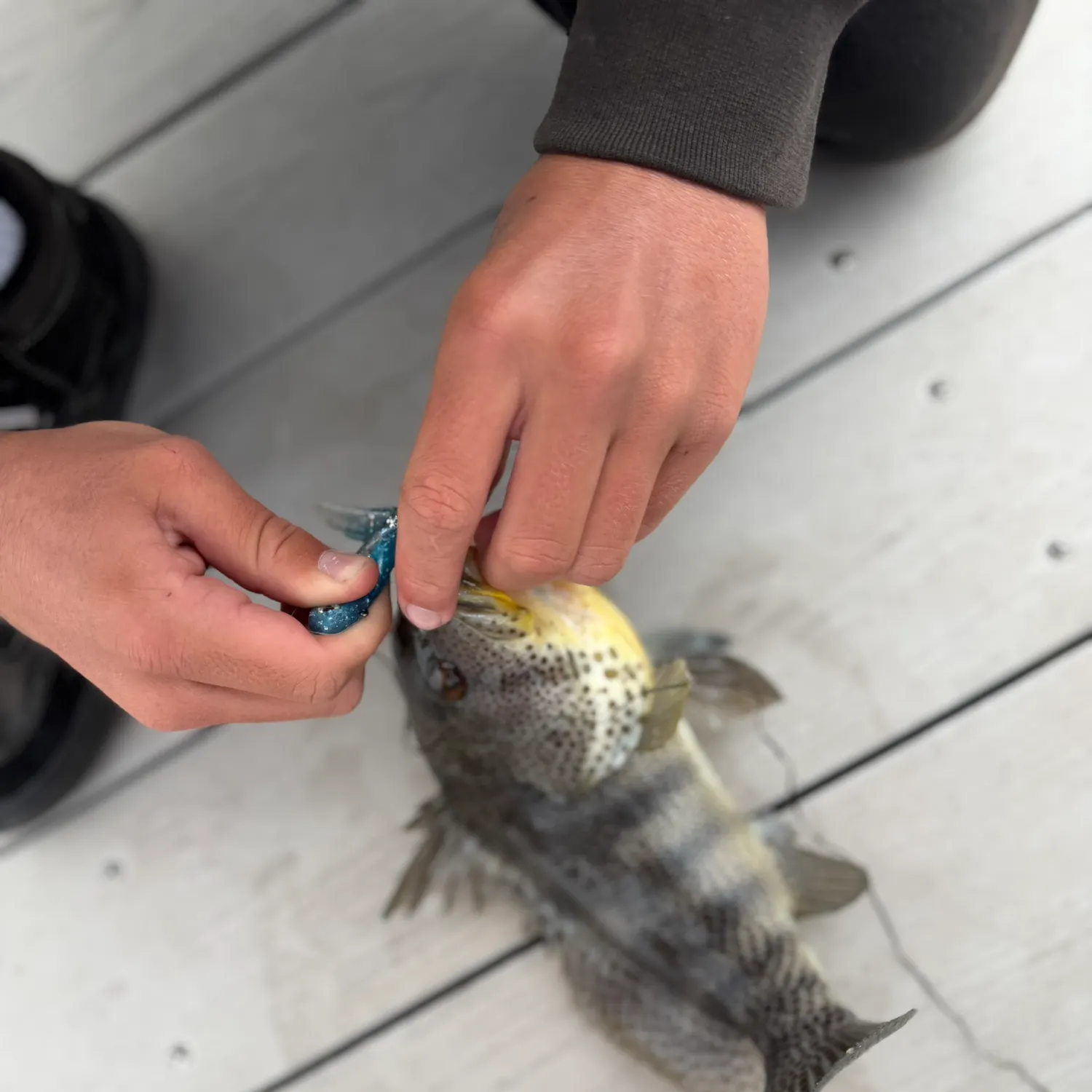 catch