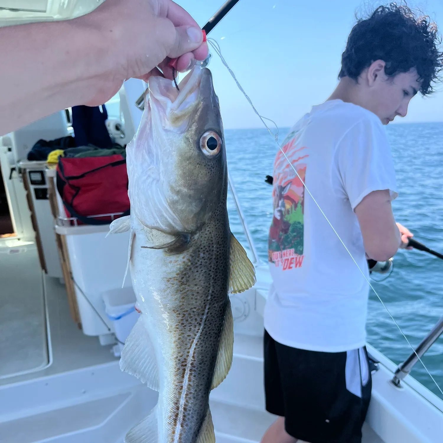 most liked catch image