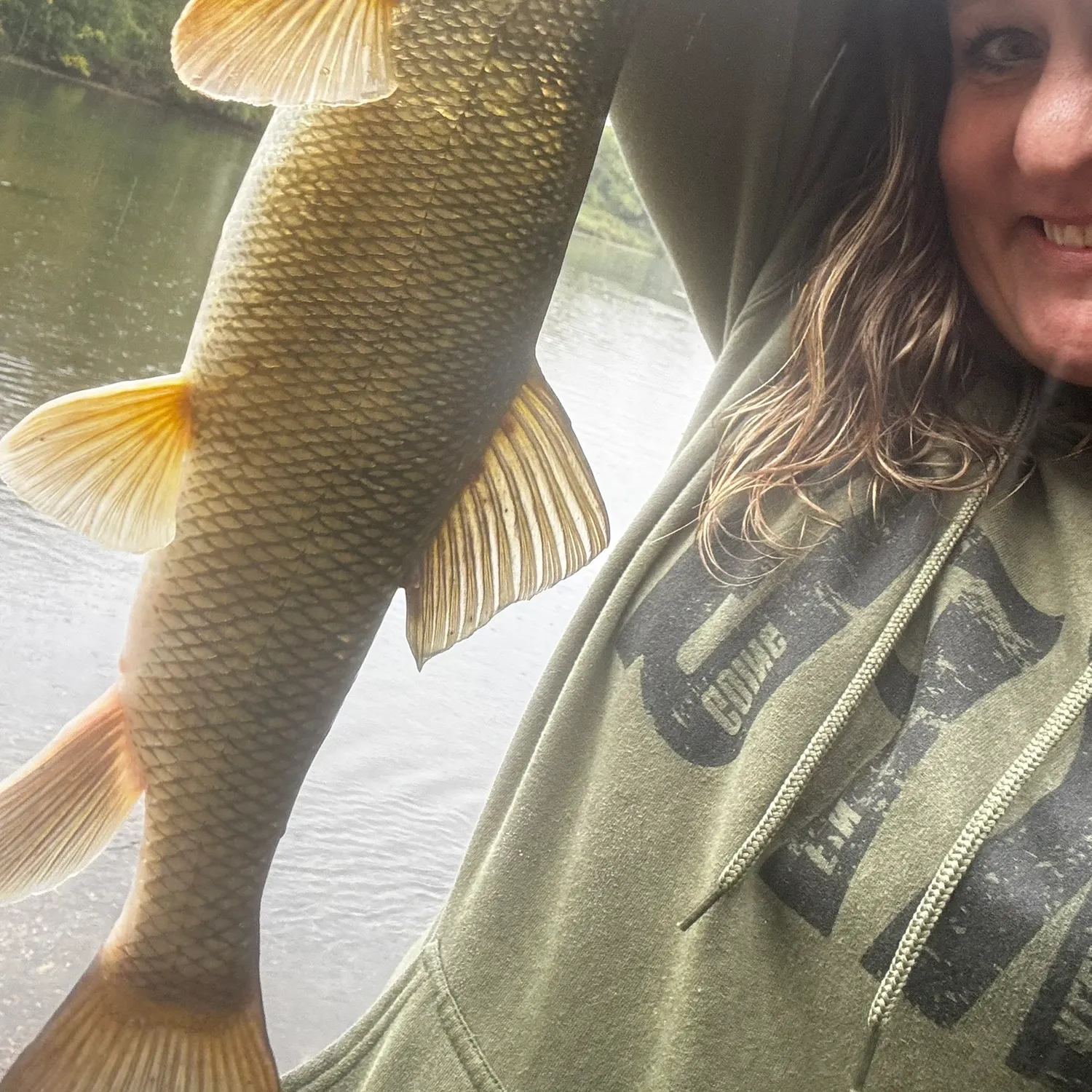 White sucker caught on Fishbrain