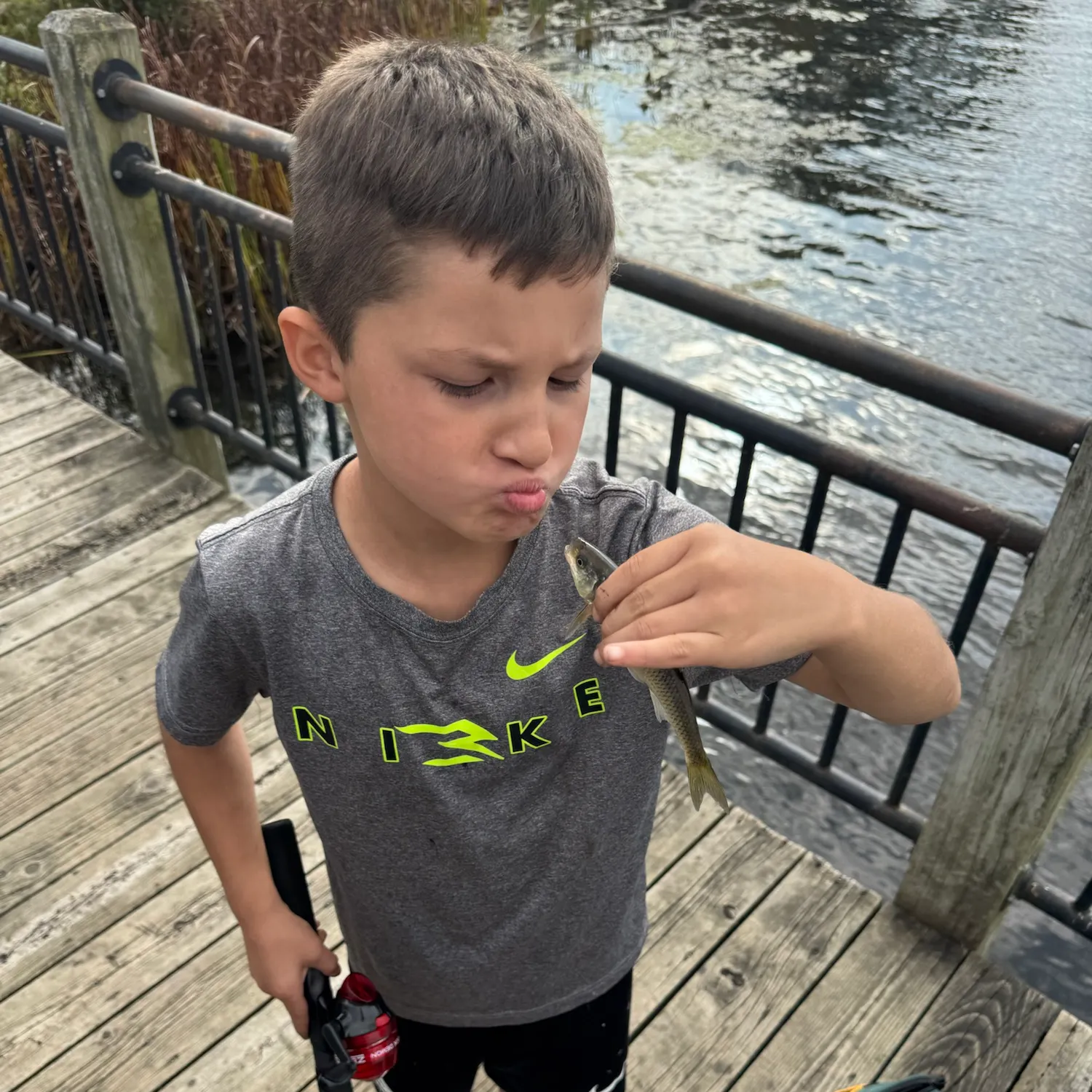 Fish caught on Fishbrain