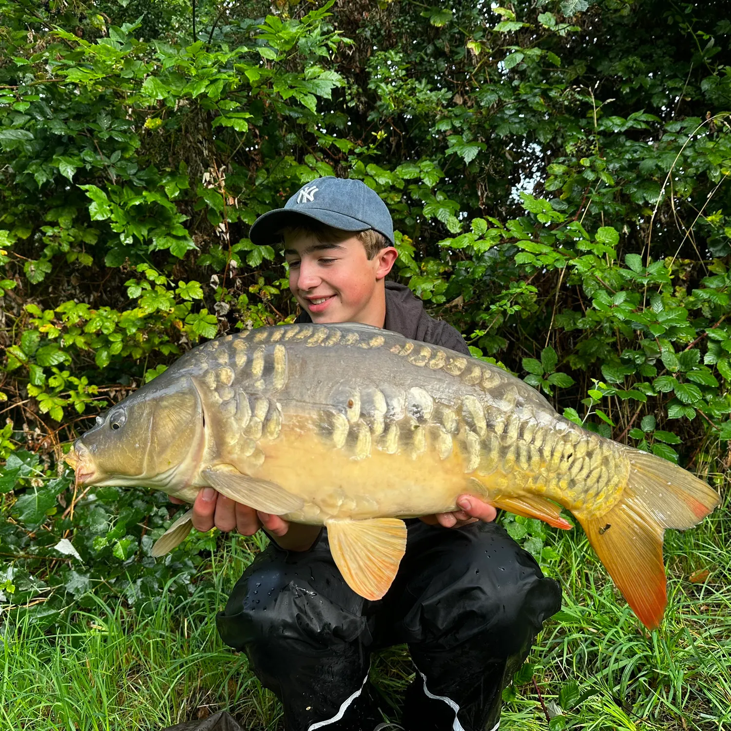 Mirror carp caught on Fishbrain