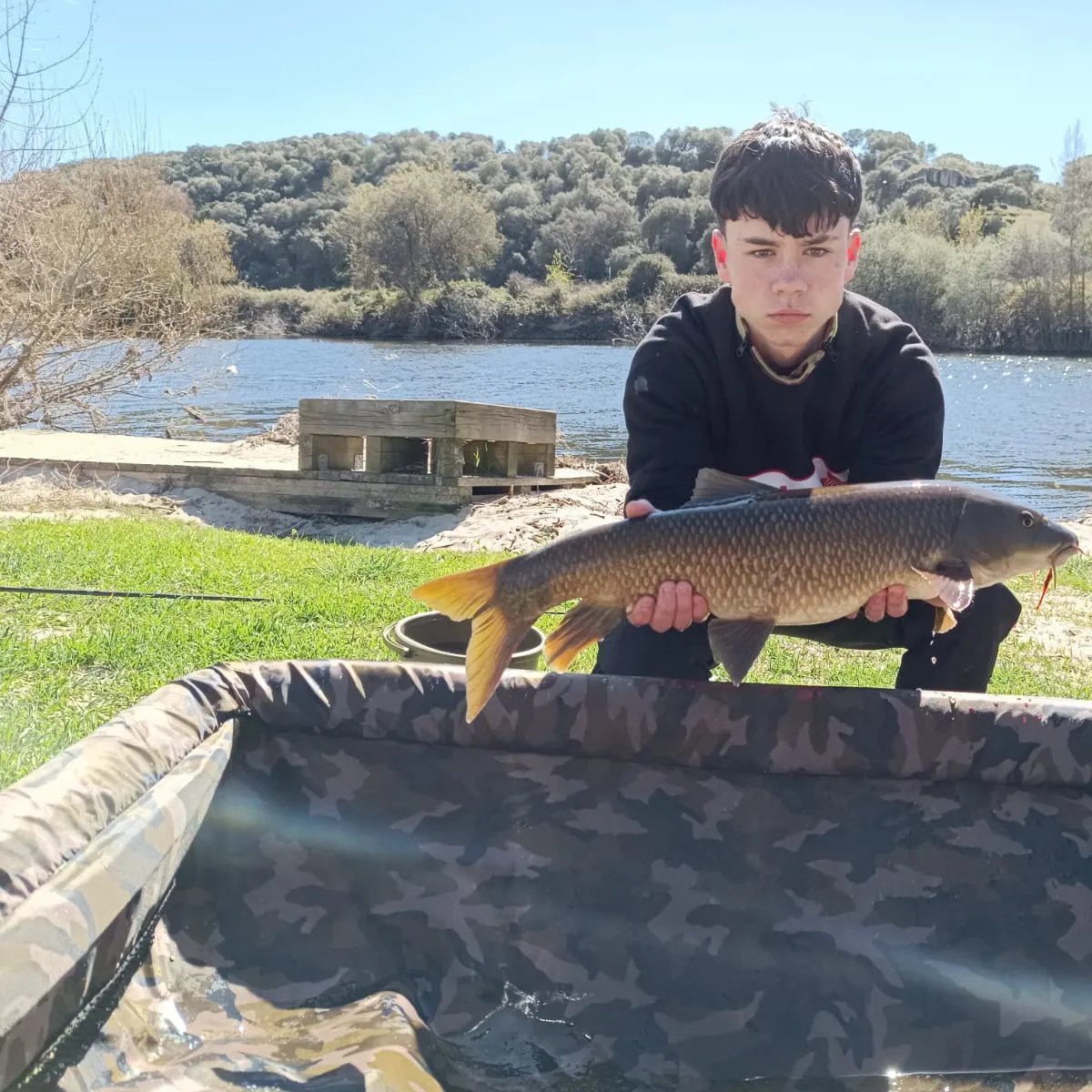 The most recent Common barbel catches on Fishbrain