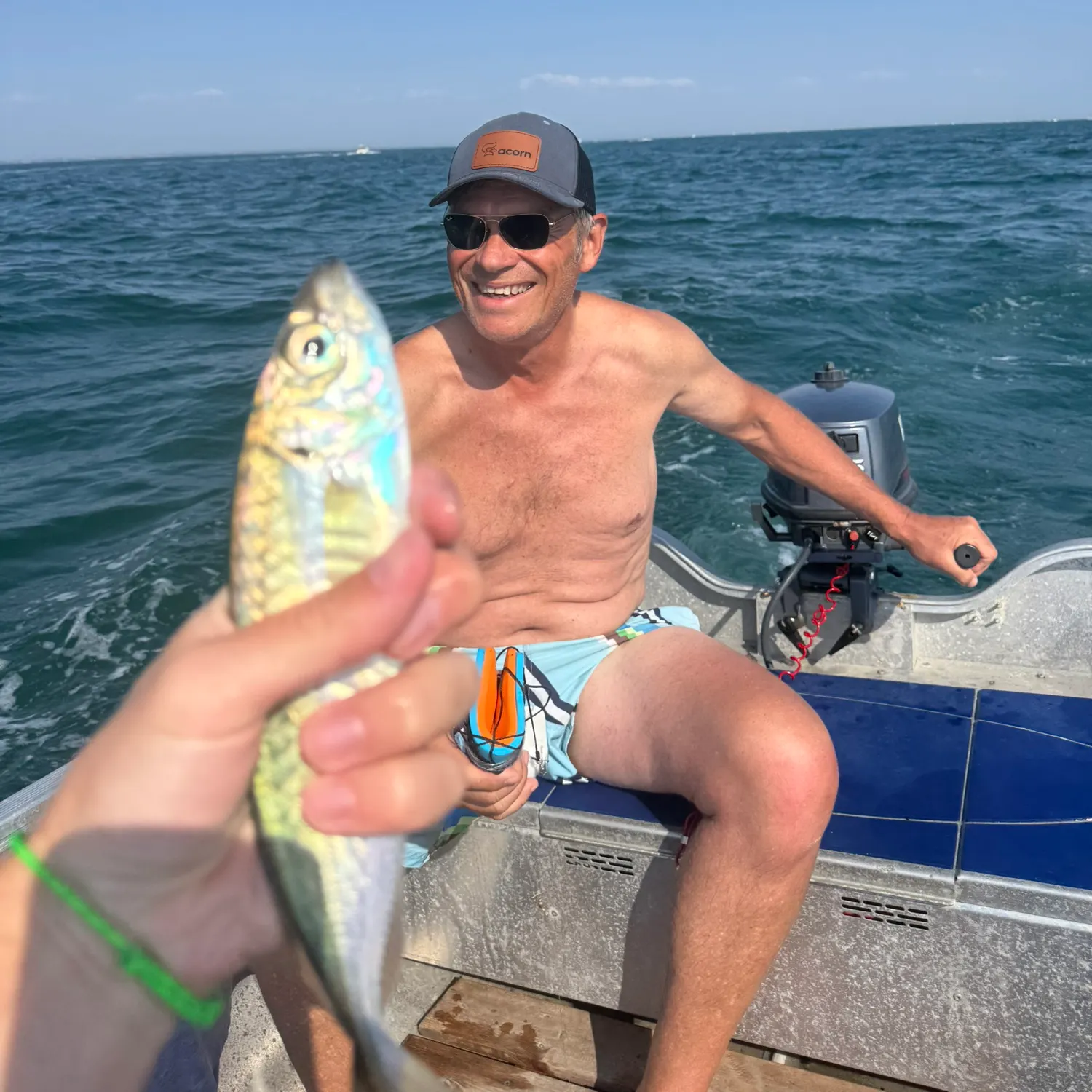The most recent Atlantic horse mackerel catches on Fishbrain