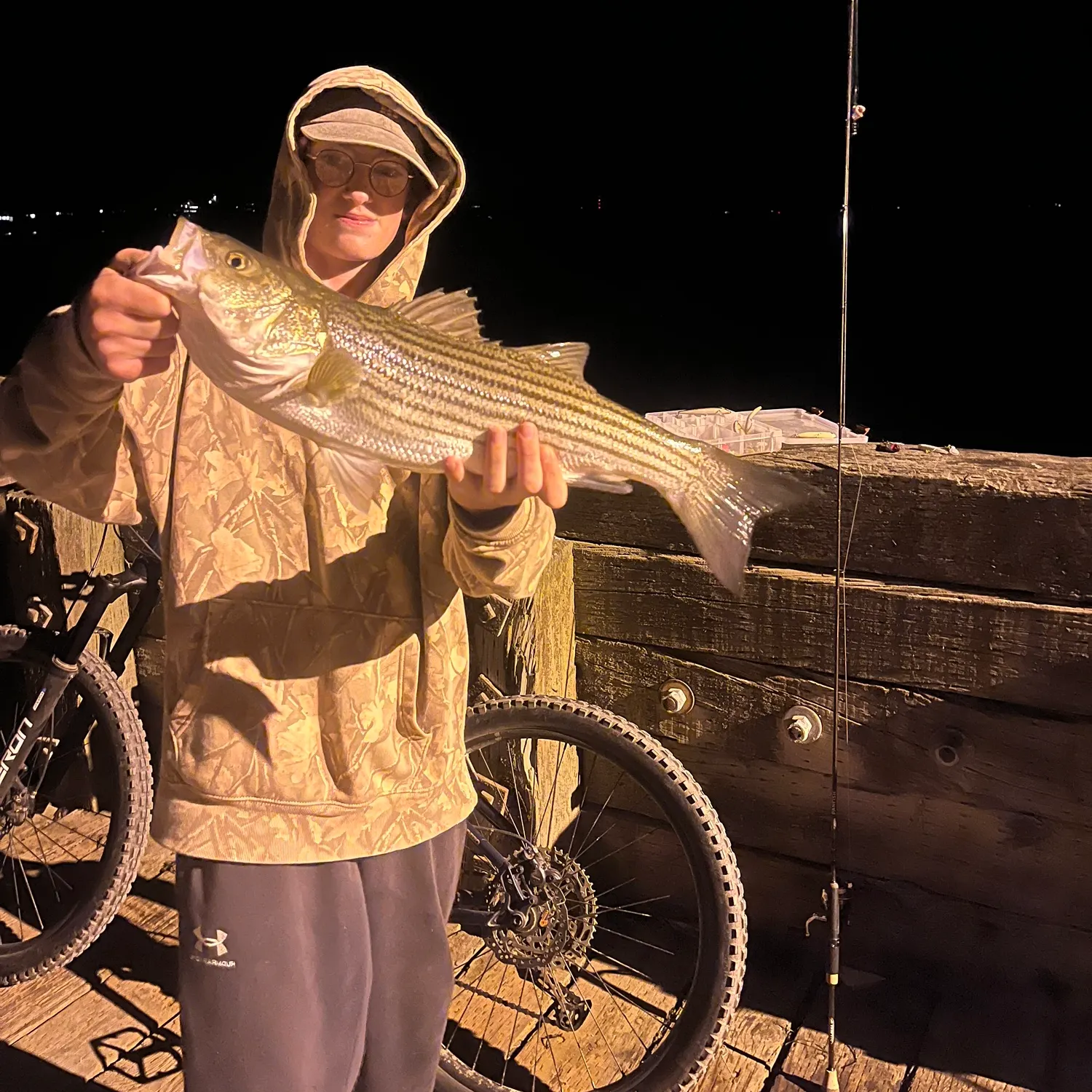Striped bass caught on Fishbrain
