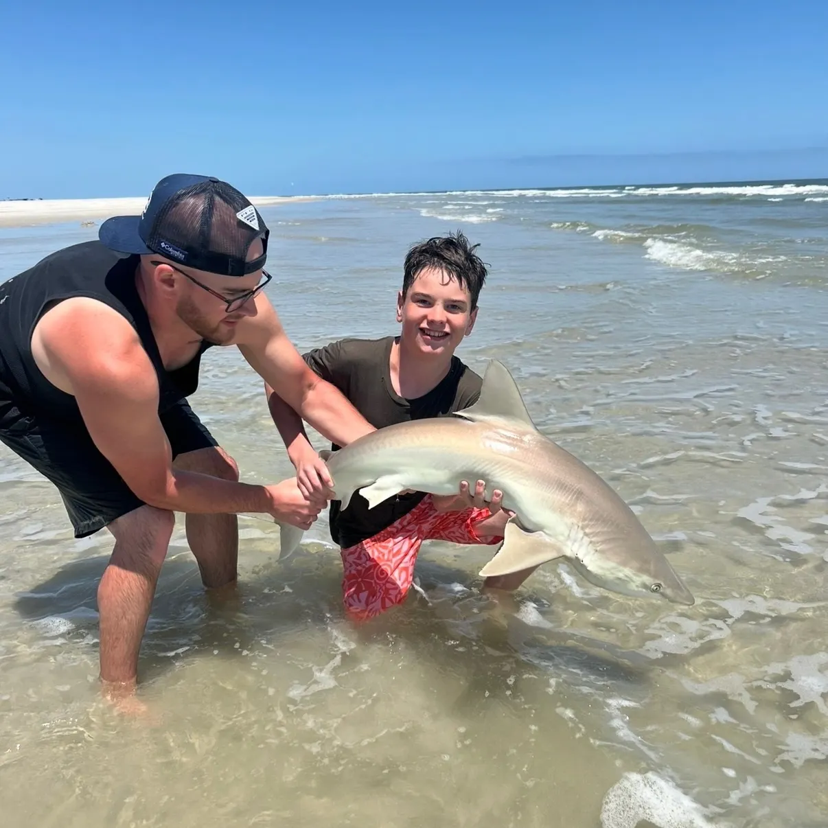 Sandbar shark caught on Fishbrain