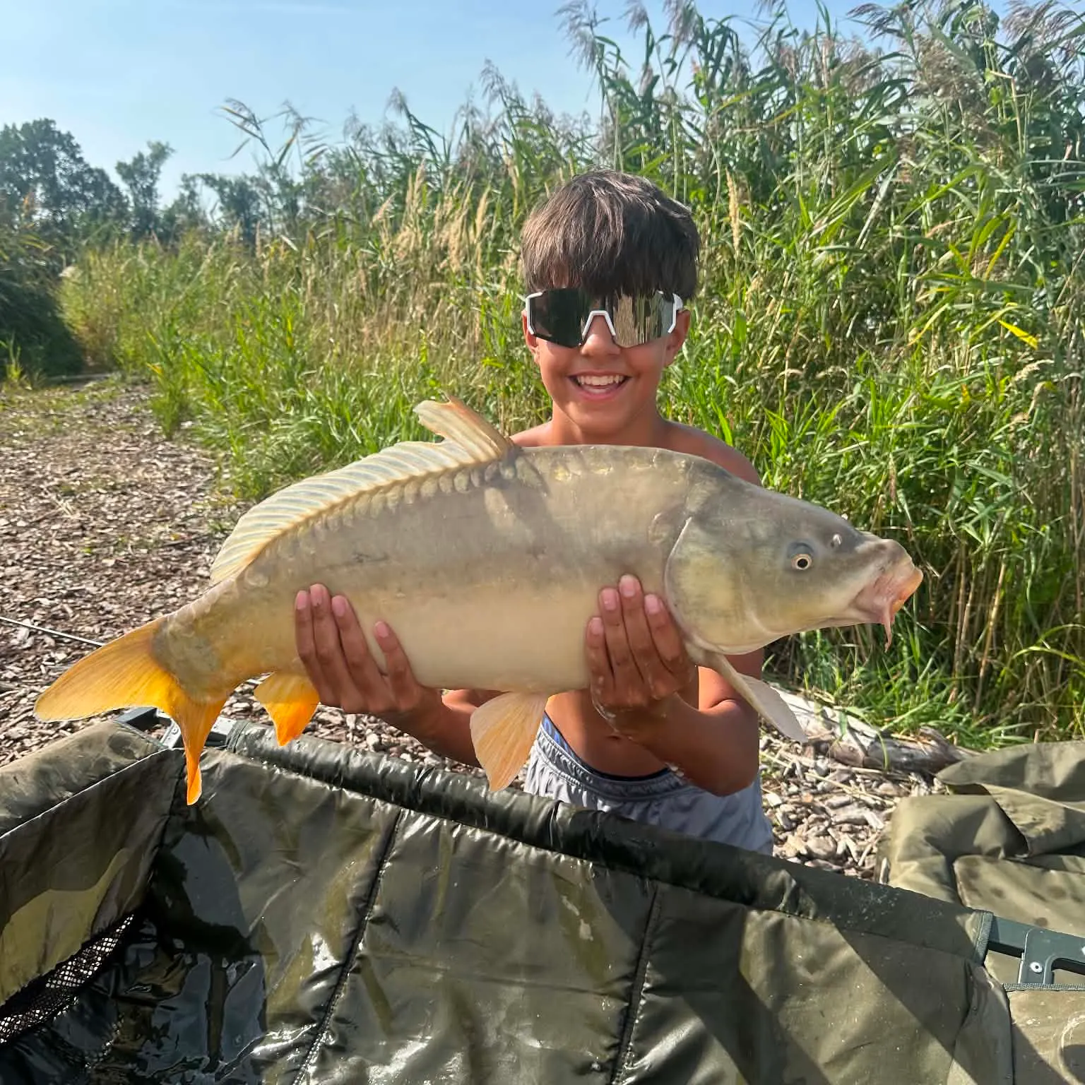 Leather carp caught on Fishbrain