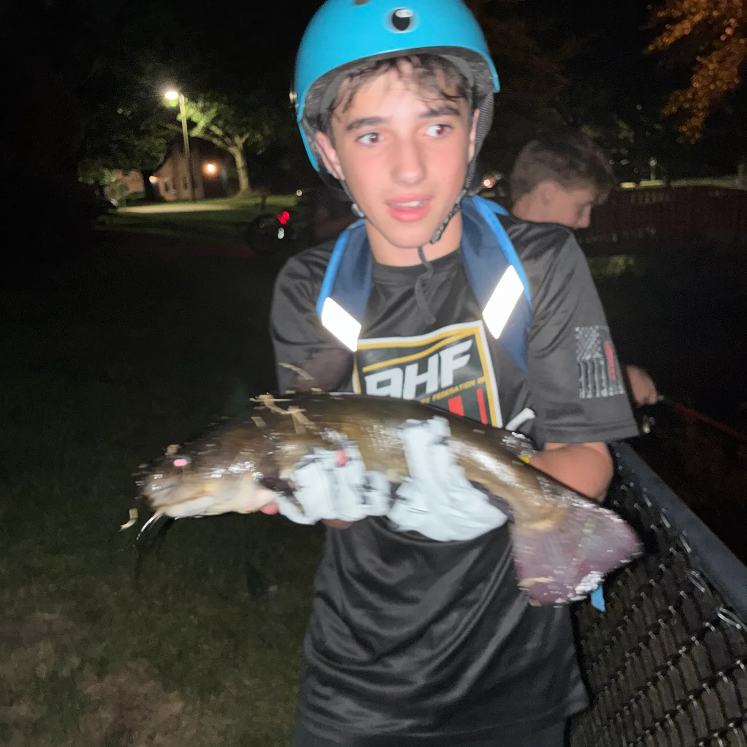Black bullhead caught on Fishbrain