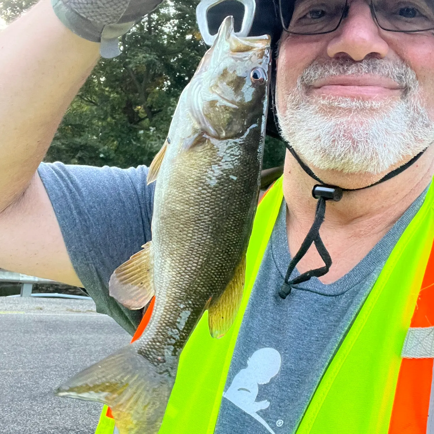 Smallmouth bass caught on Fishbrain