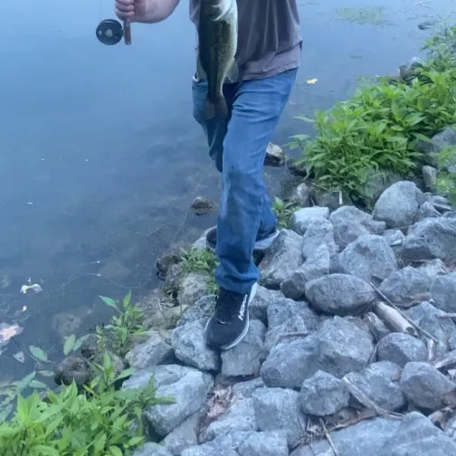 angler catch