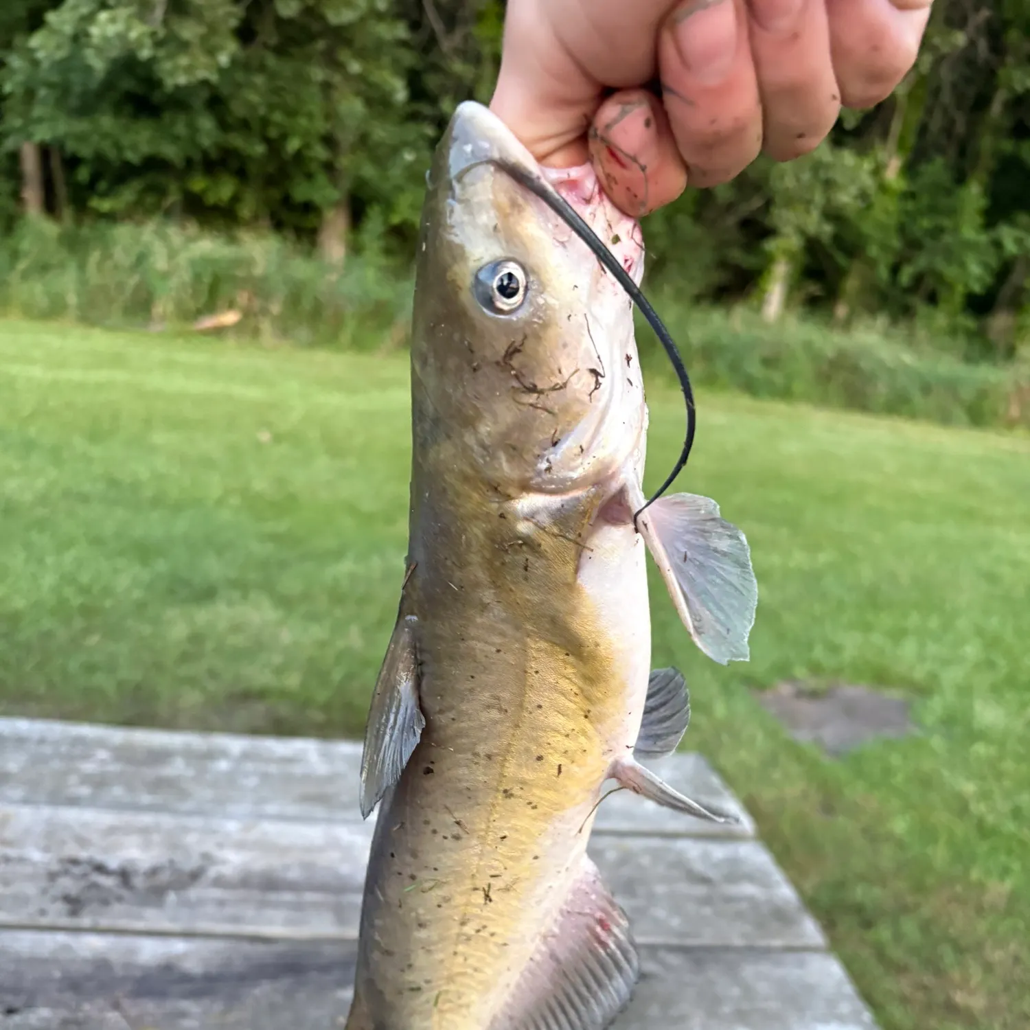 catch