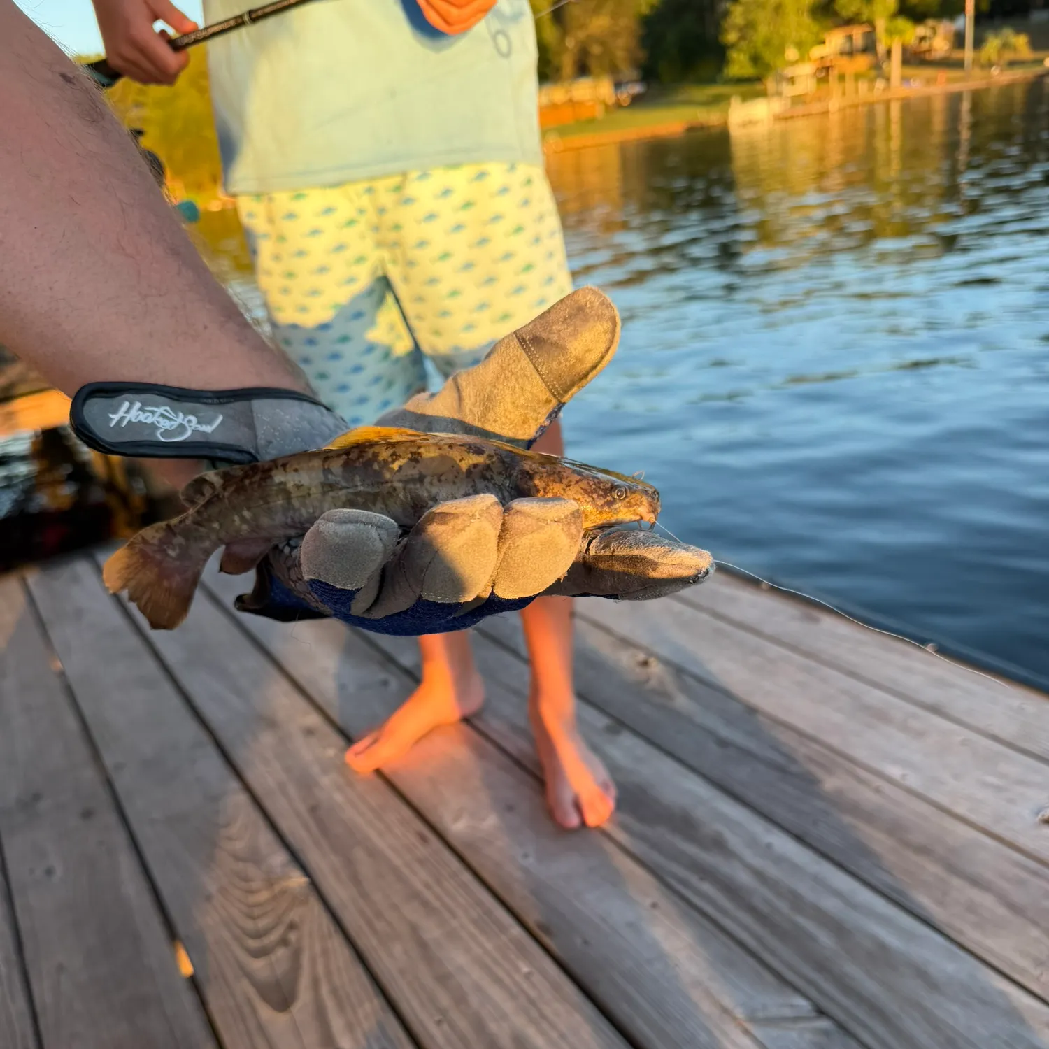 Fish caught on Fishbrain