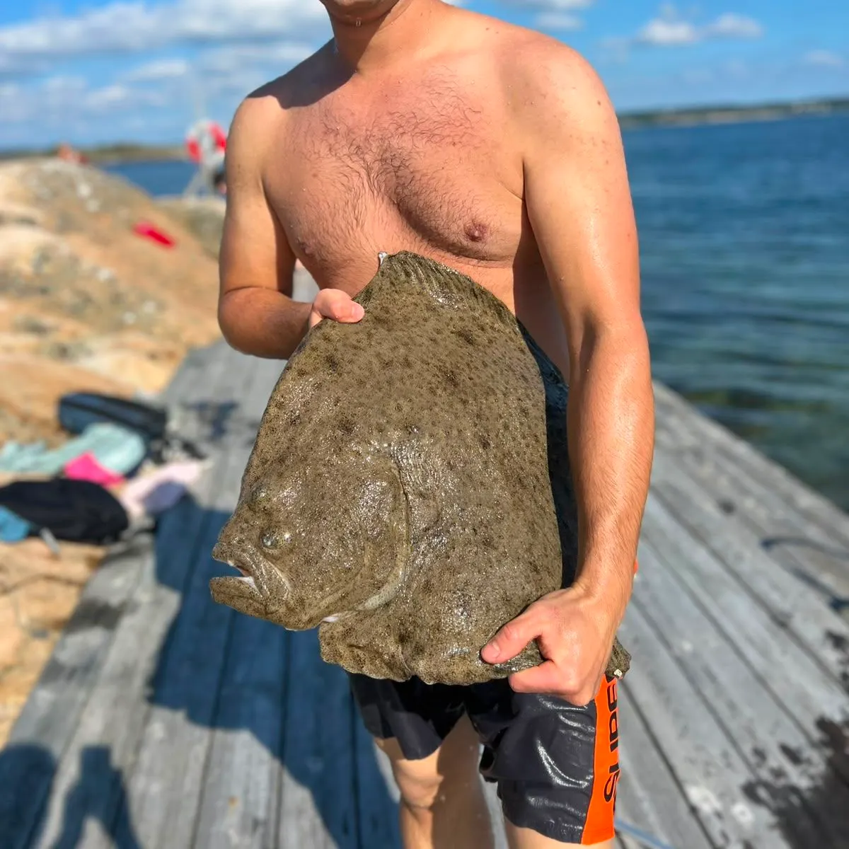 The most recent Turbot catches on Fishbrain